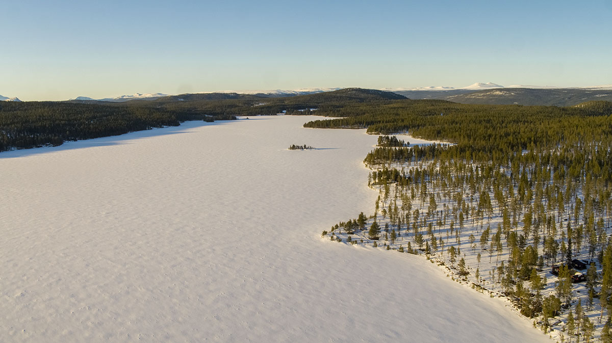 Utsikt over området